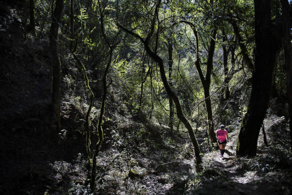 multimedia.normal.913ab61e6b61a918.656c6566616e7465322d31303234783638335f6e6f726d616c2e6a7067