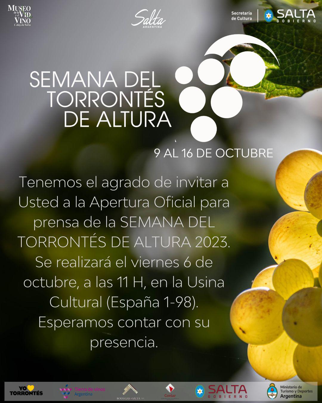 reuda_de_medios_semana_del_torrontes