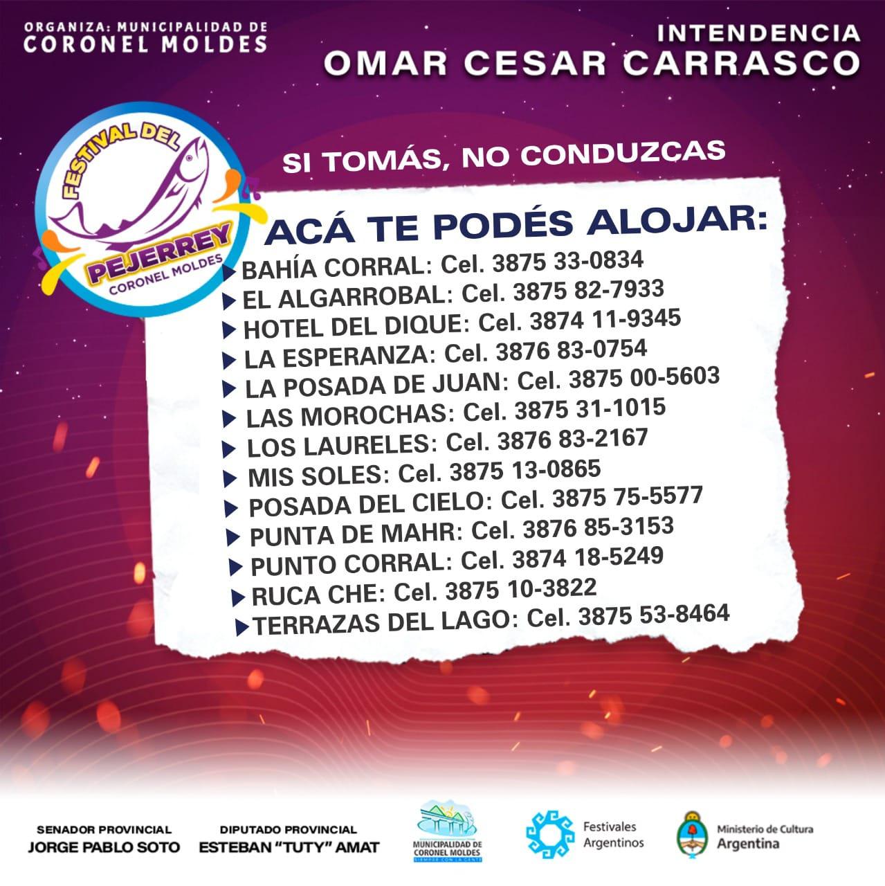 277355795_281973494112254_1665214615800672030_n