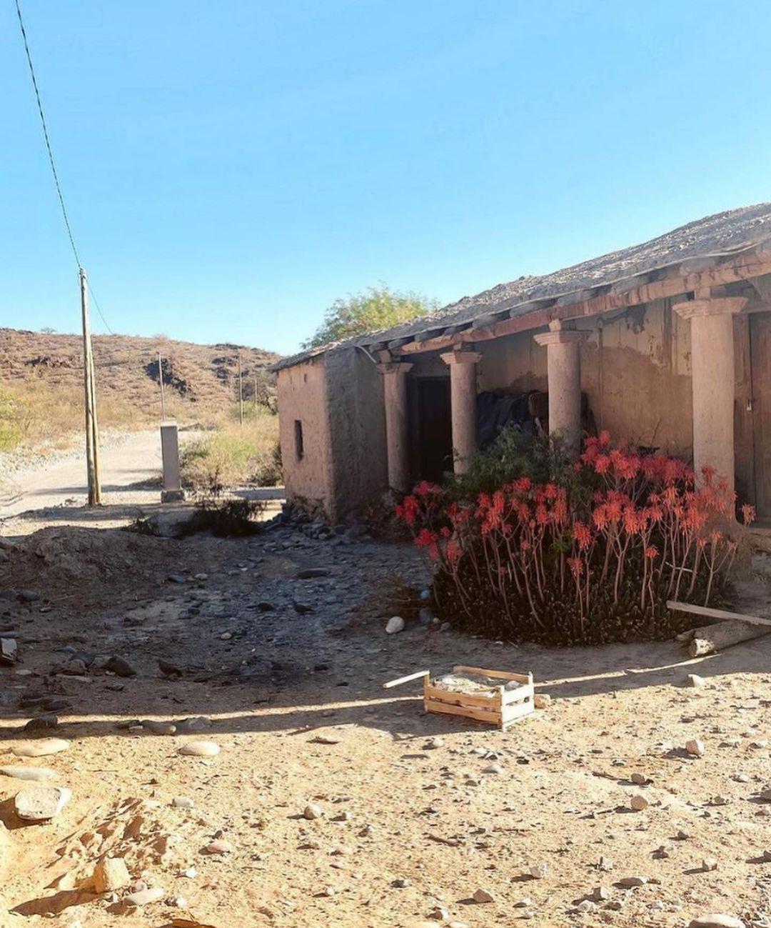 308756402_1732177430472674_5004921382012172496_n