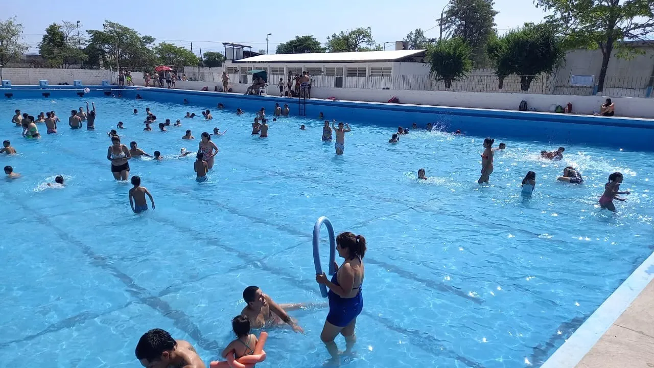 WhatsApp Image 2024-11-29 at 12.08.48 PM