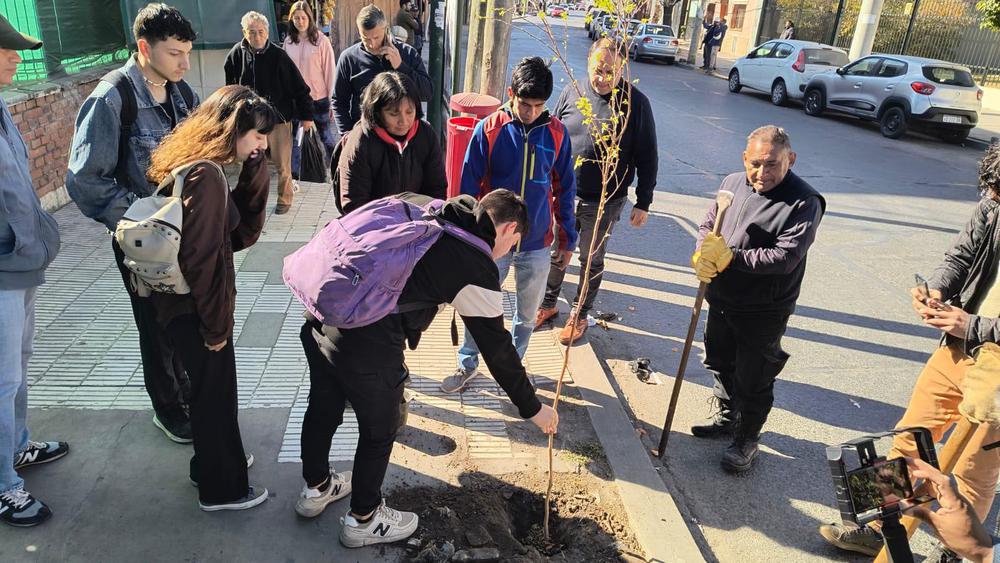plantacion-arboles-hospital-san-bernardo-8