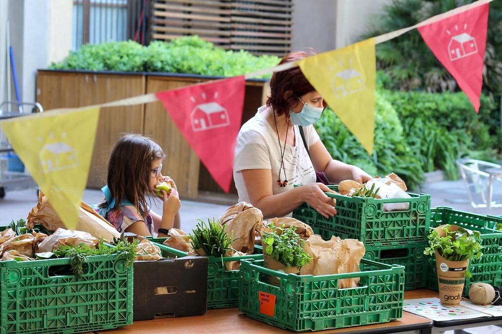la_colmena_dice_si_grupo_de_consumo_familia_cajas_frutas