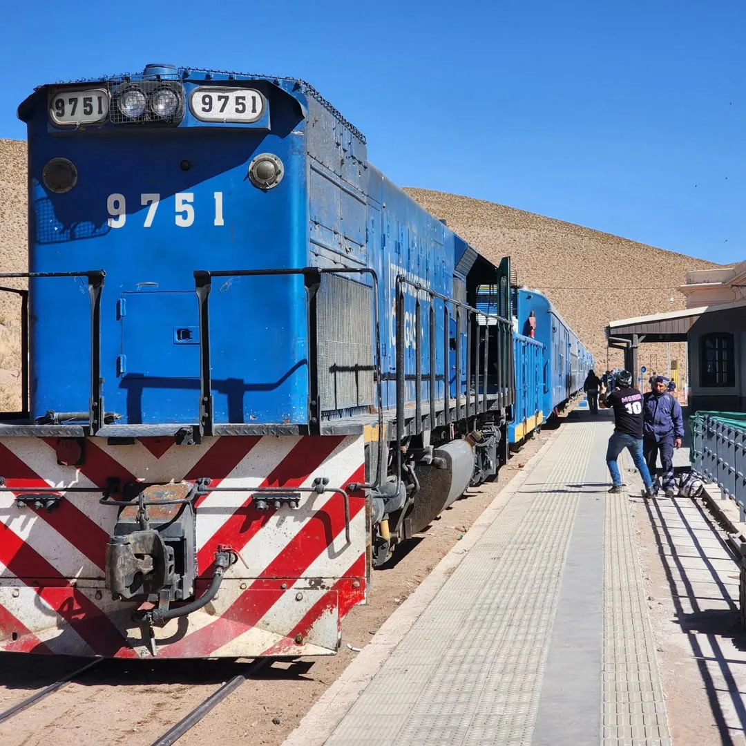 SaveInsta.to_491438757_653776254179957_7370501699056727338_n