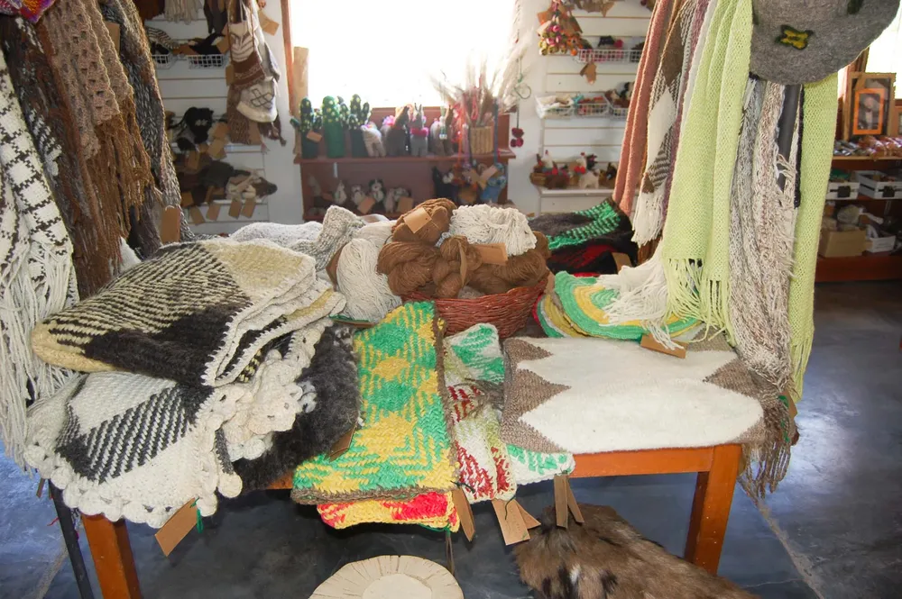 Quebrada_del_Toro_Alfarcito_Nano_Escudero_155_banner