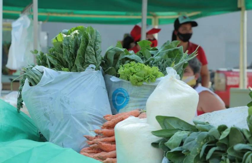 WhatsApp Image 2024-01-31 at 9.51.38 AM