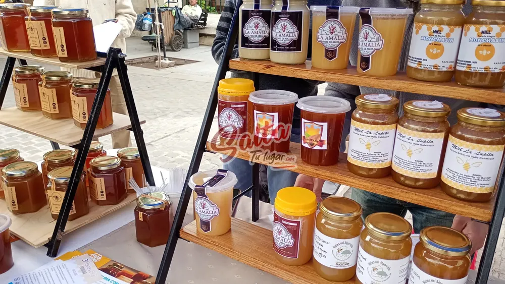 PORTADA PARA TODO SALTA