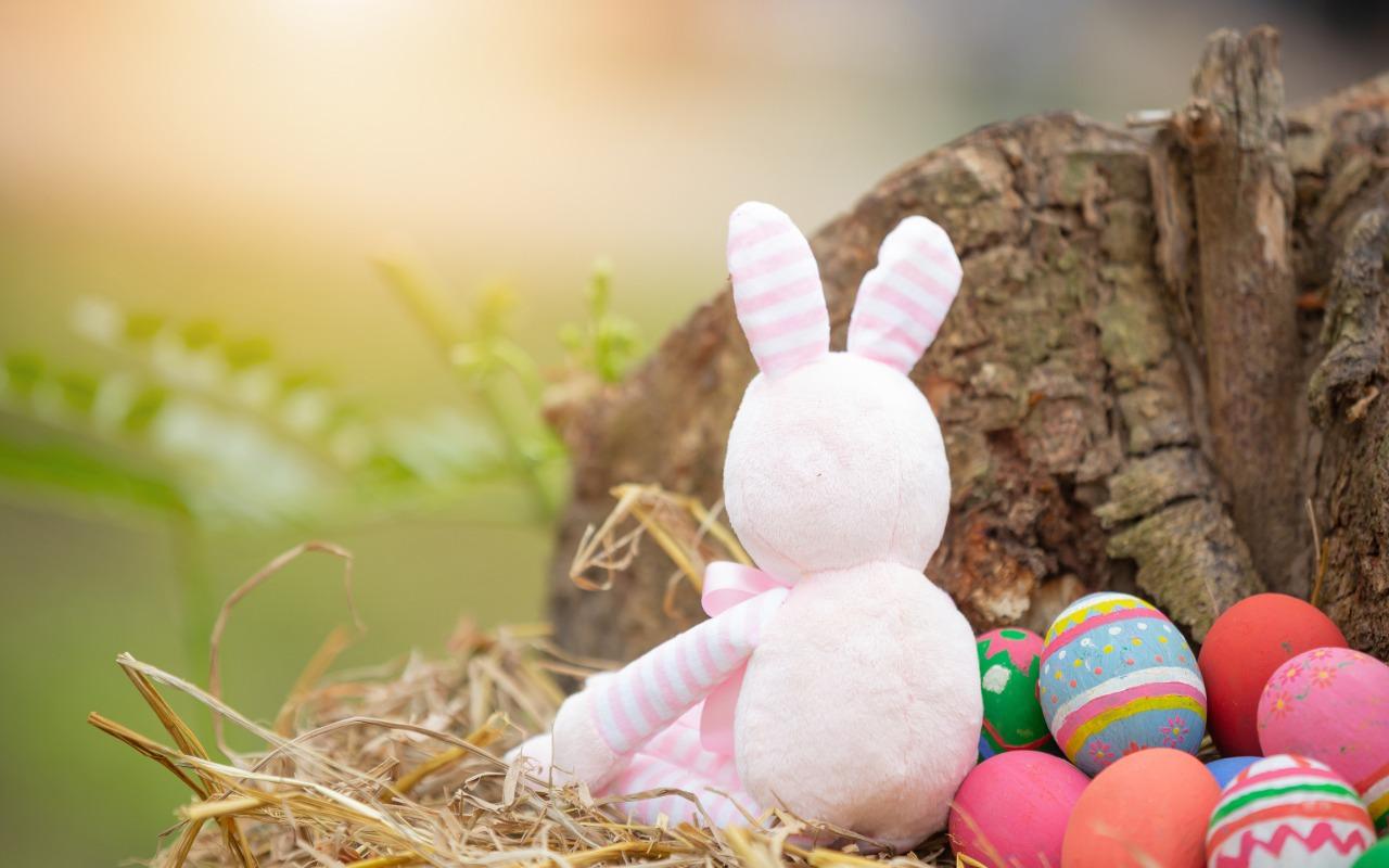 huevo-de-pascua-y-conejo
