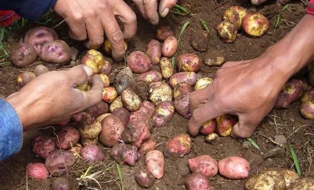 WhatsApp Image 2024-07-16 at 11.55.27 AM