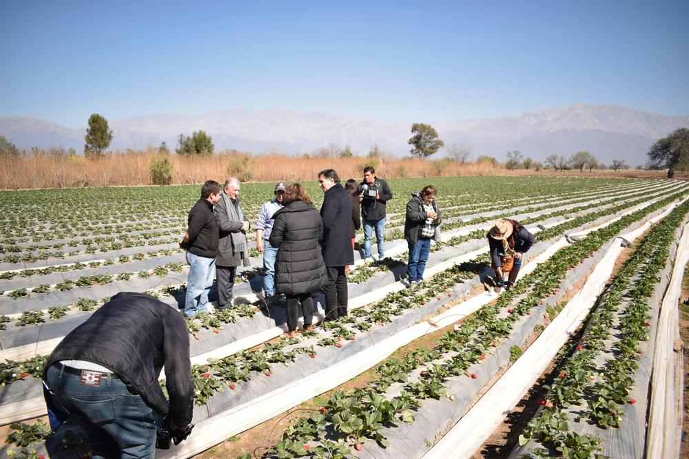 457016152_894670889376683_8207039794846299211_n