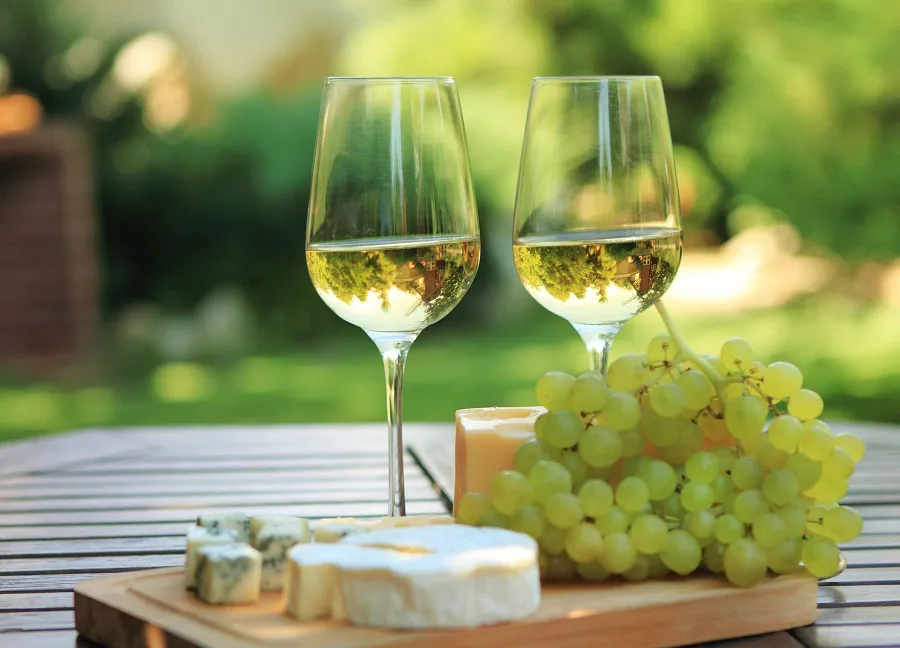 torrontes-1