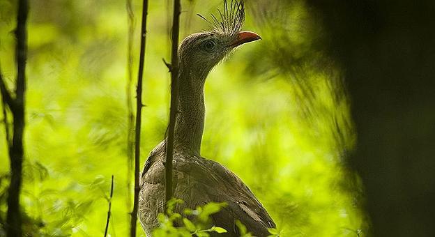 _img_47 (1)