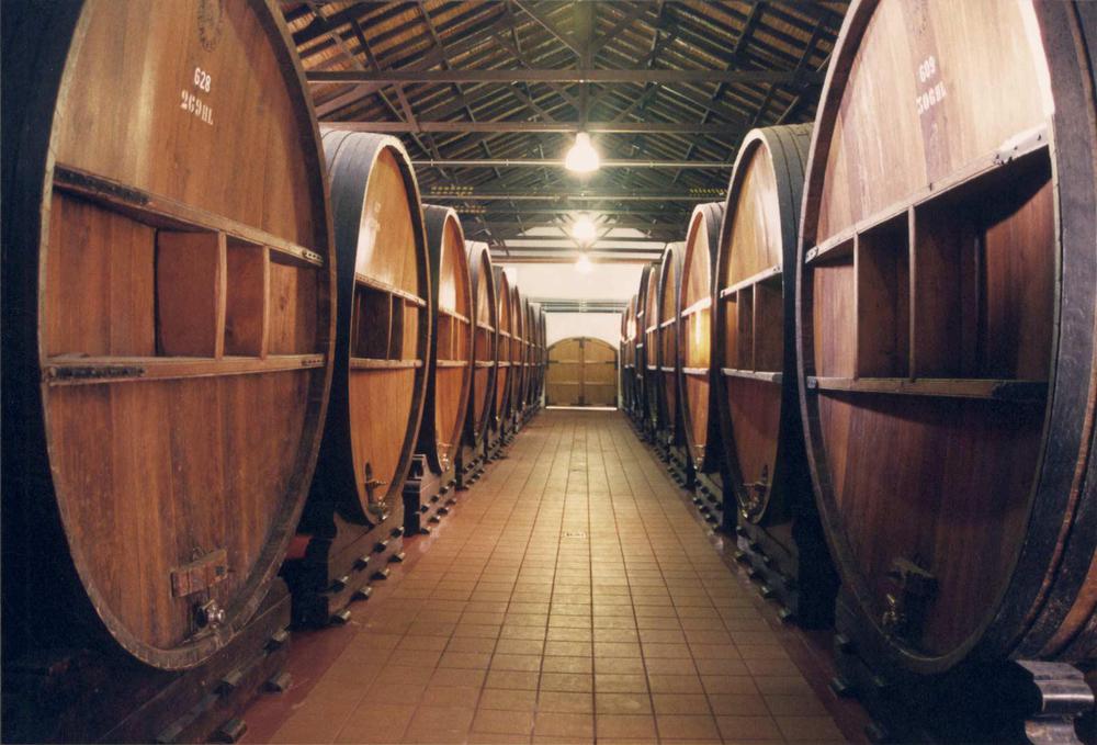 Pasillo-de-Toneles-Hori-10-07
