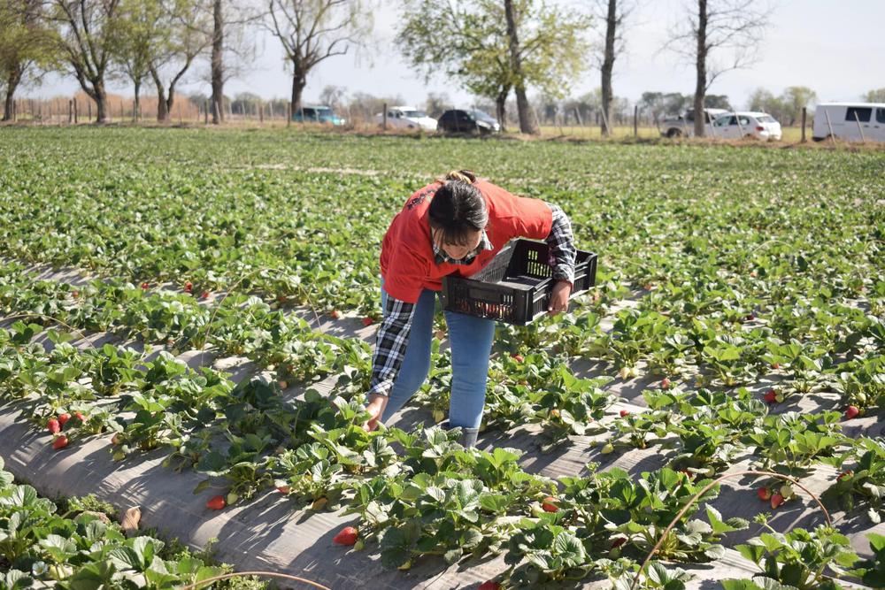 457322429_894671589376613_2642086488819235398_n