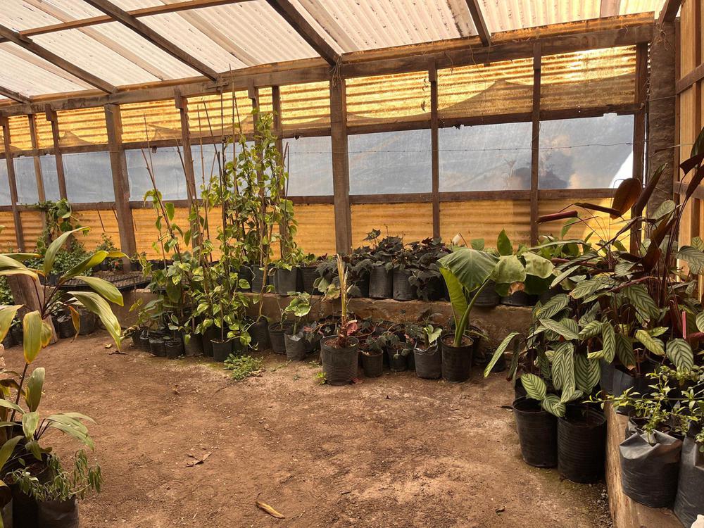 vivero-agosto-2024-7-2048x1536