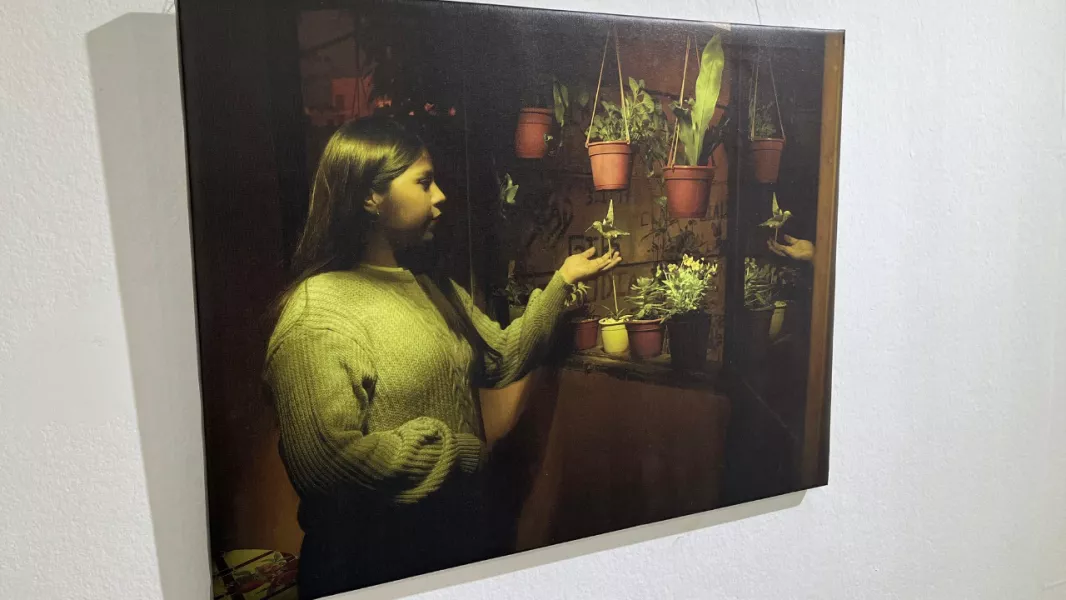 99584-exposicion-artesanias-sustentables-en-la-casa-de-la-cultura-20250113130359
