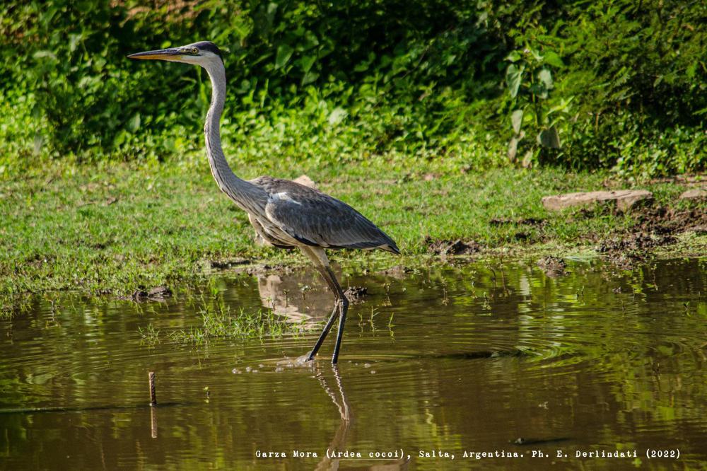 WhatsApp Image 2024-01-23 at 11.34.29