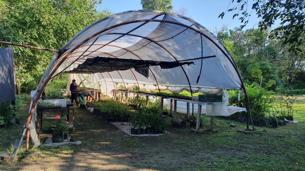 vivero-municipal-7-a-1536x864