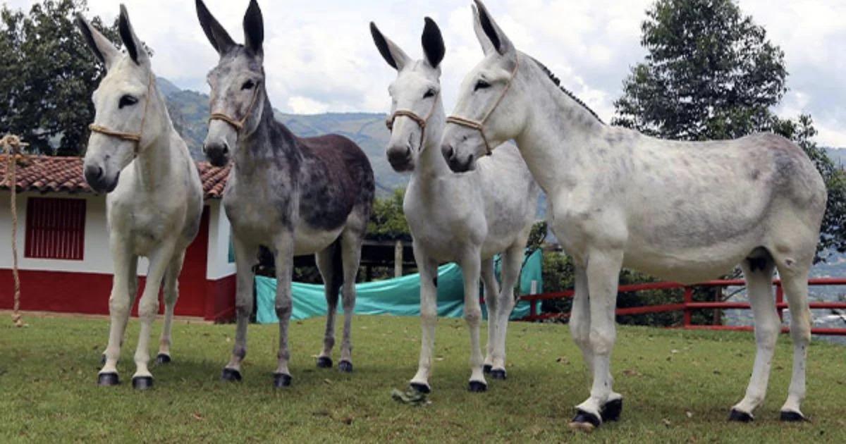 WhatsApp Image 2023-09-29 at 10.54.27 AM