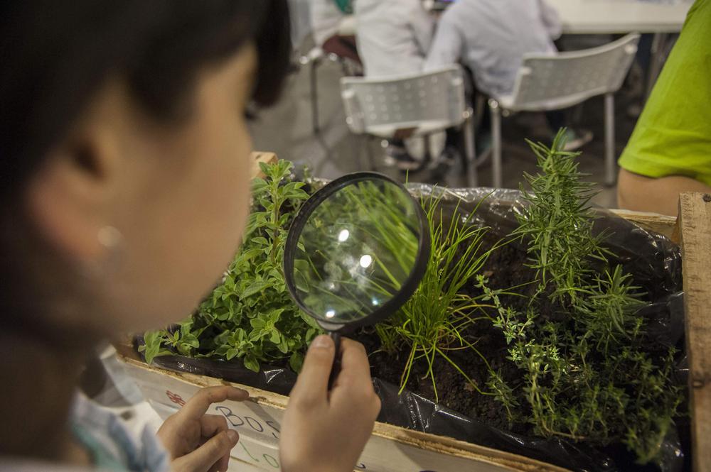 c7c17335568b7e102c03ae5bdaa307e6acad956b