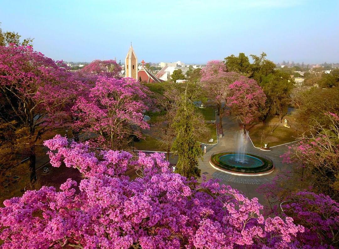 297276630_3272861492987278_4080899733287372173_n