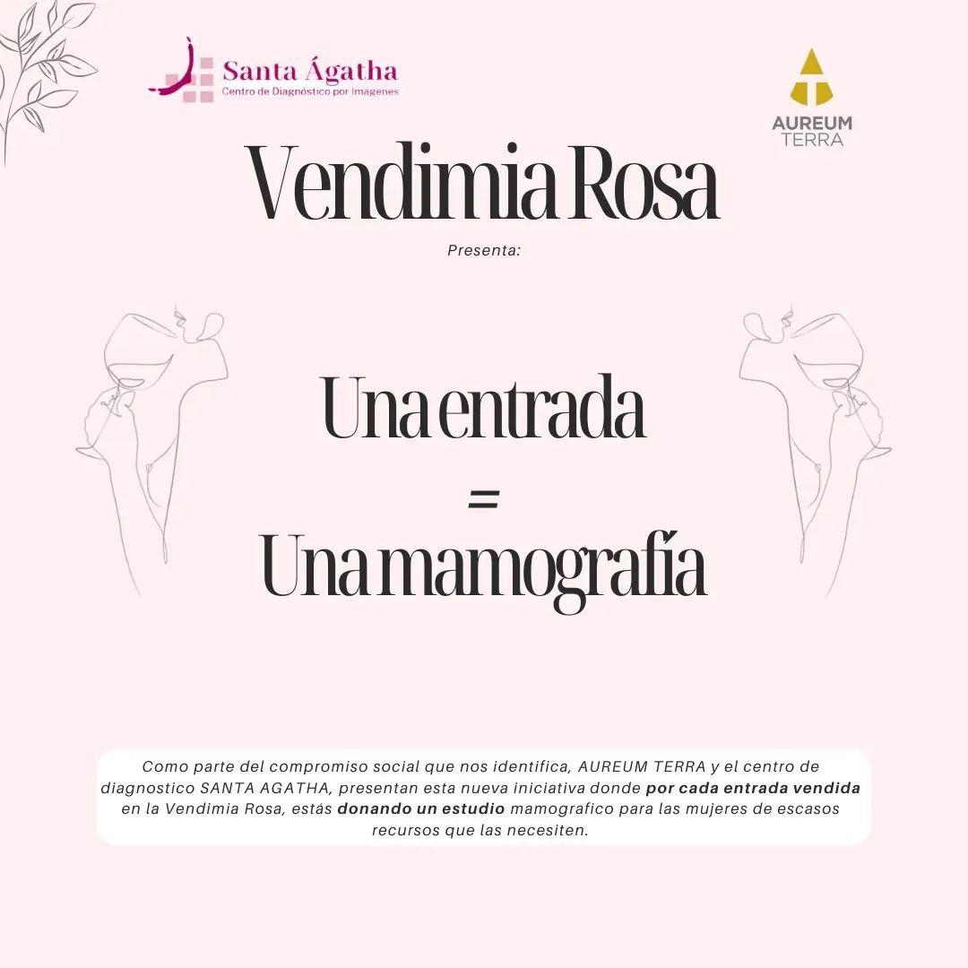 WhatsApp Image 2024-03-08 at 11.33.28 AM