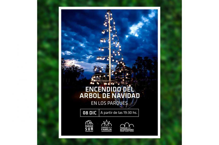86685-los-parques-urbanos-encienden-sus-arboles-de-navidad